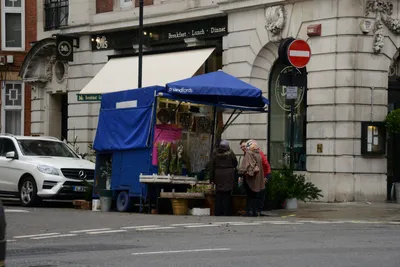 DSC_5581 (Large).JPG